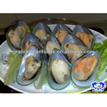 IQF mussel meat with shell
